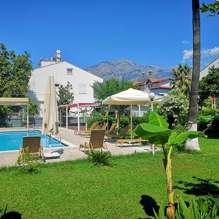 Anita Noch Kemer